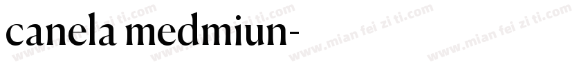 canela medmiun字体转换